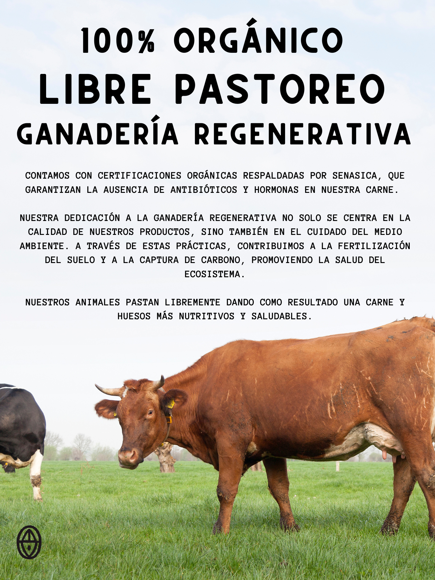 28 Caldo de Huesos Instantáneo Liofilizado <br> Rinde hasta 30 porciones